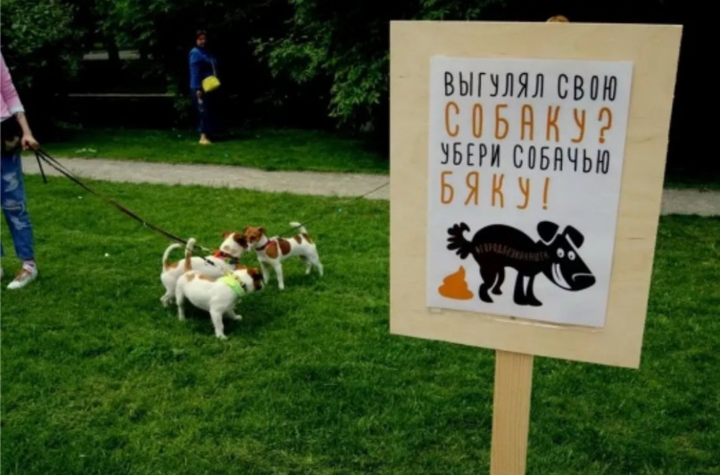 Деньги не пахнут. Россияне требуют ввести штраф за собачьи фекалии