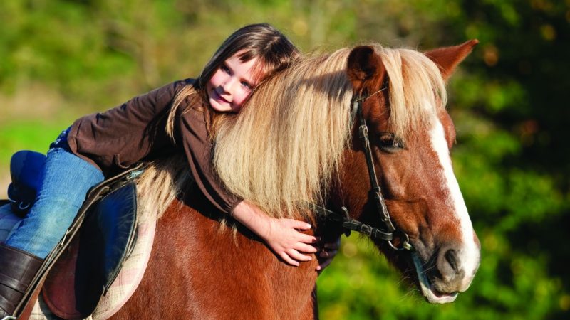 Россияне выступили за запрет катания на лошадях в туристических целях