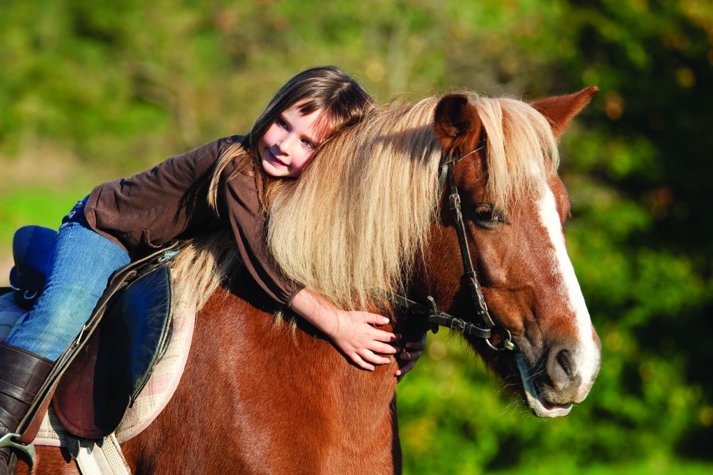 Россияне выступили за запрет катания на лошадях в туристических целях